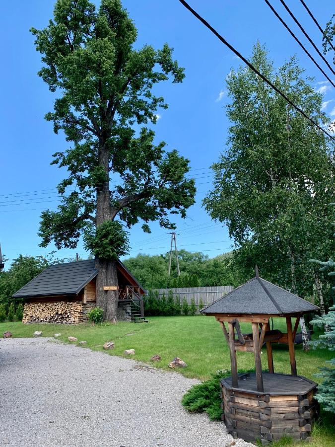 Gniazdko Pod Lipa Apartment Andrychow Exterior photo